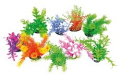 TROPICAL PLANT 14-17 CM SERIES             