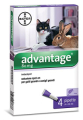 ADVANTAGE S.O. GATTO 80