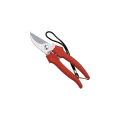 FORBICE GIARDINO COGLI UVA E FRUTTA LAMA CURVA INOX C/CINTURINO AUSONIA