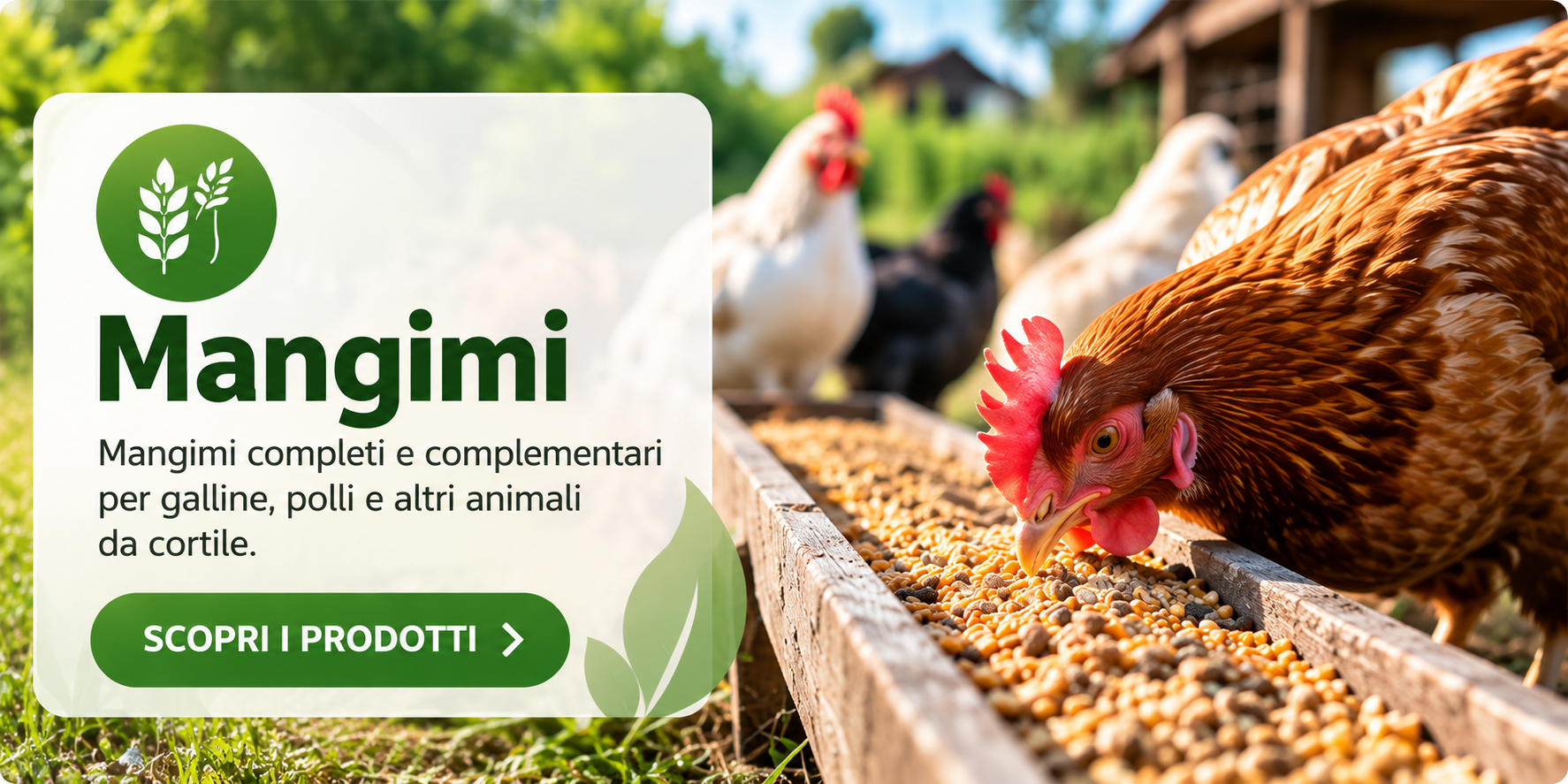 Mangimi per animali da reddito